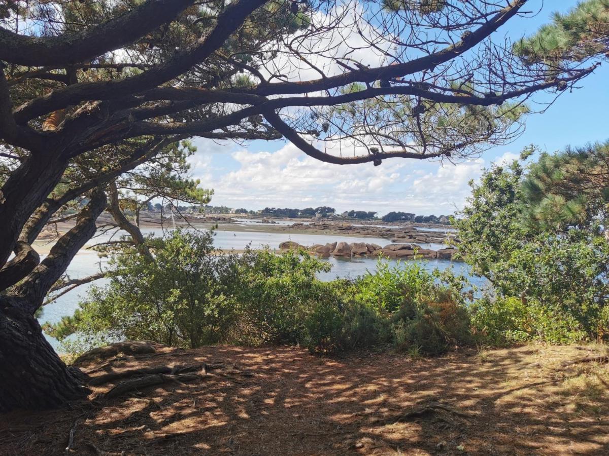 Un Havre De Paix Villa La Meaugon Bagian luar foto